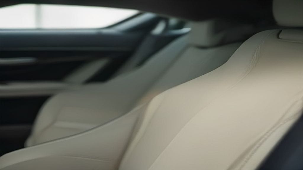 car interior cleaning detailing
